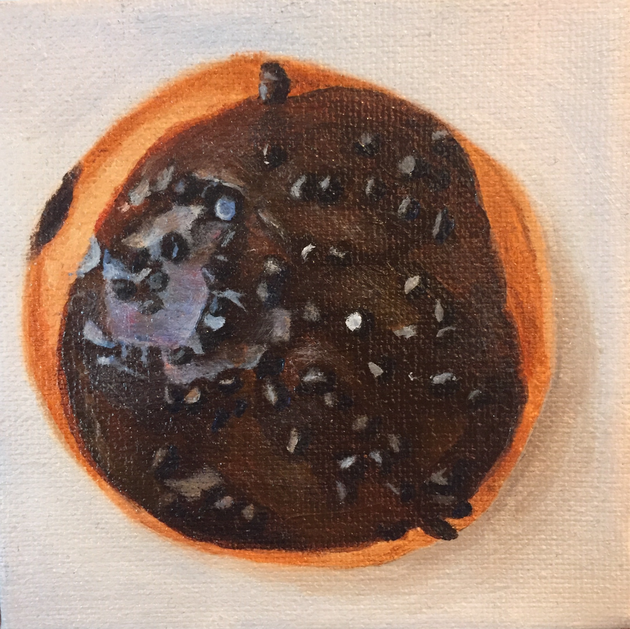 Chocolate Filled with Chocolate Chips