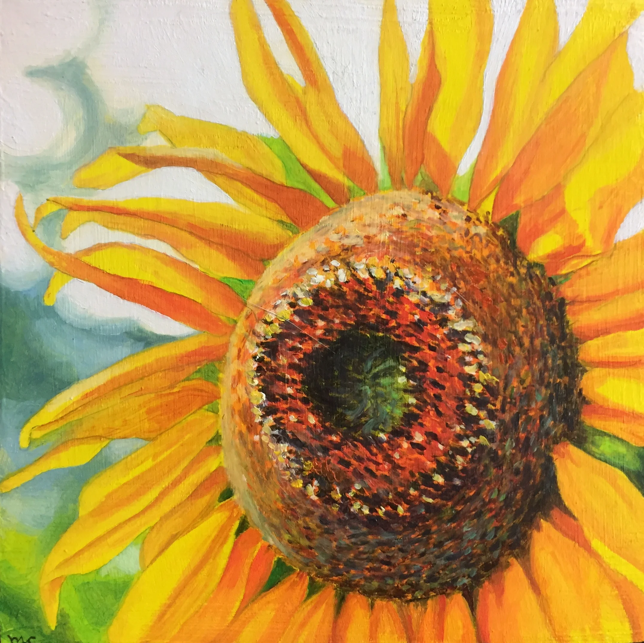 Sunflower