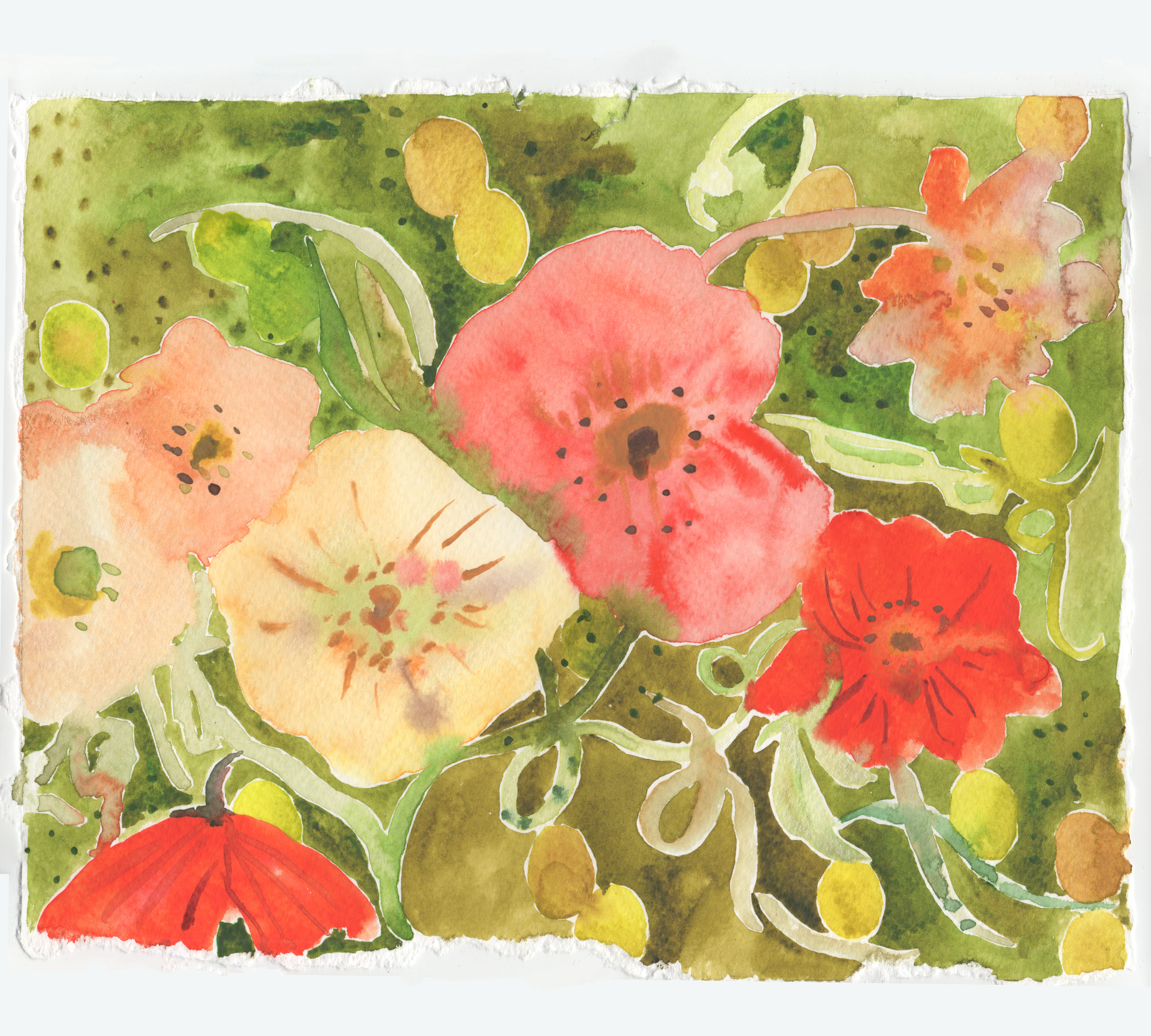 summer poppies 01.png