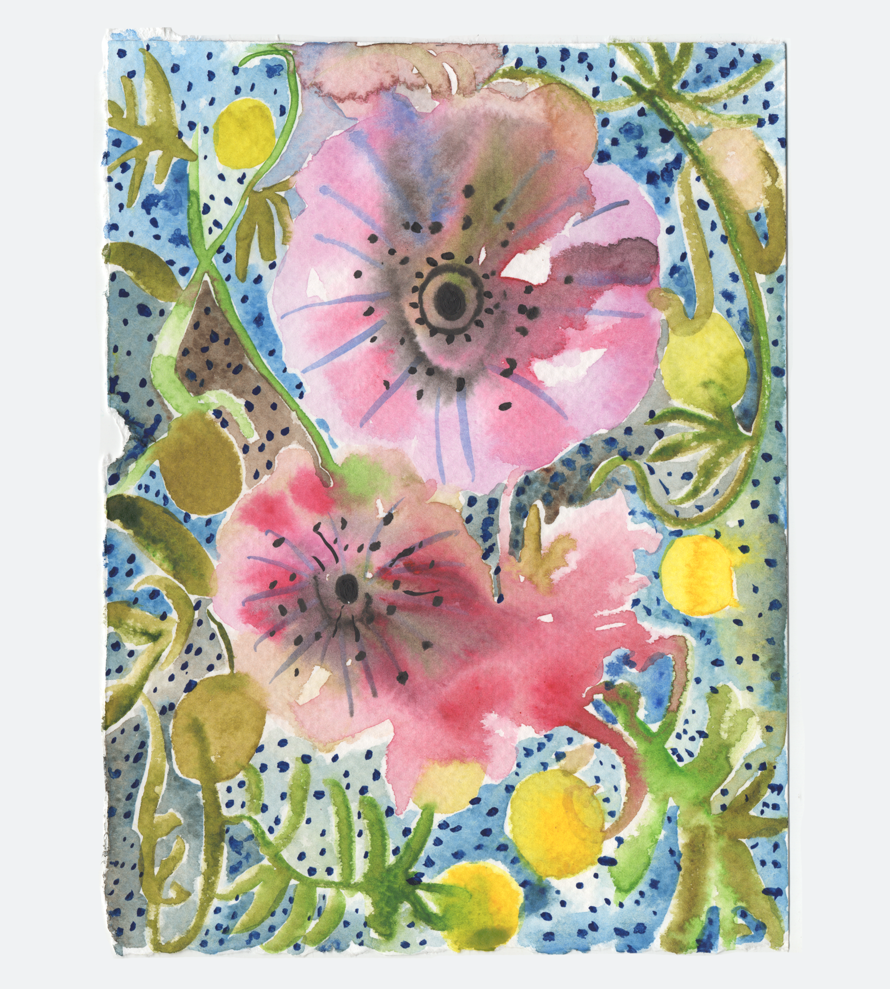 summer poppies 08.png