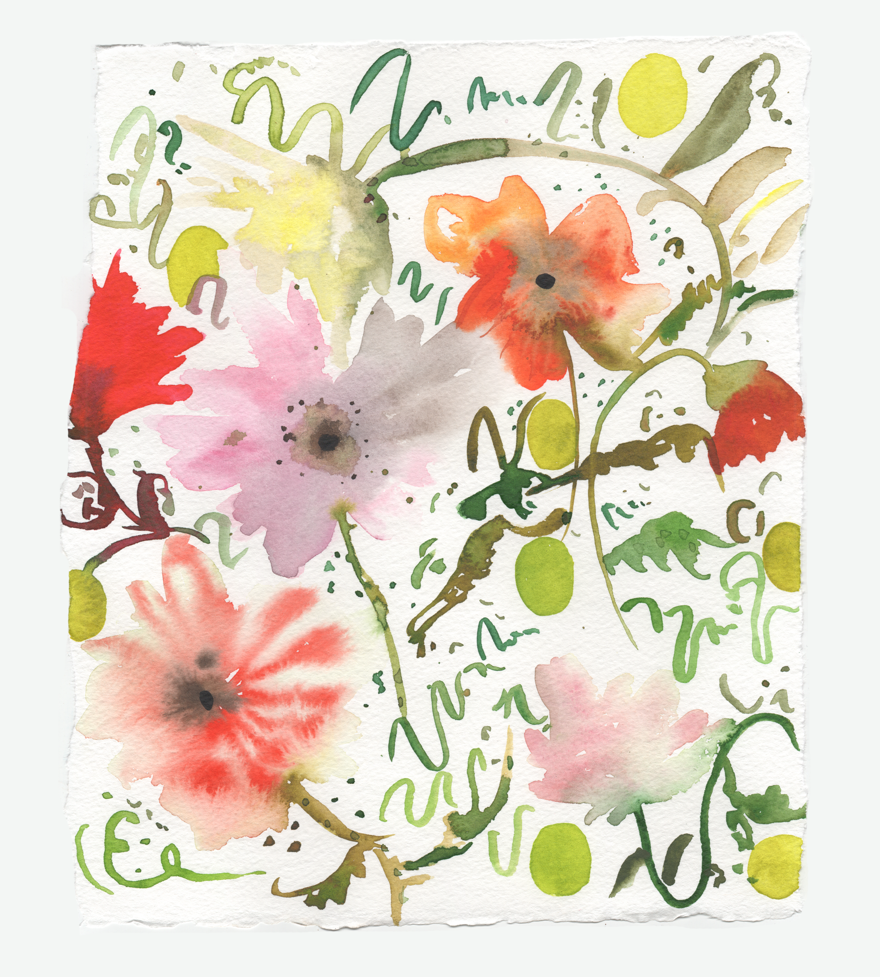 summer poppies 11.png