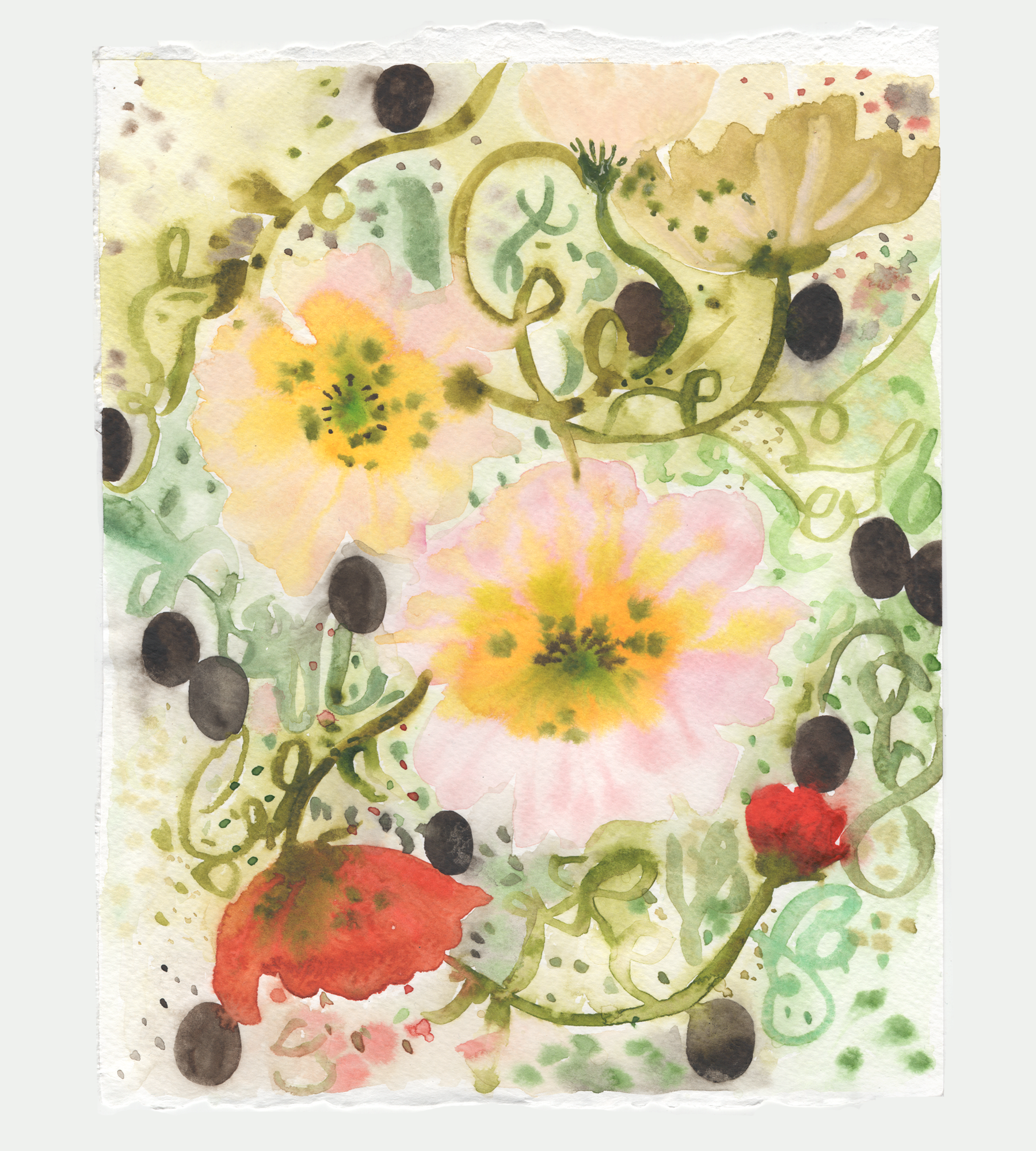 summer poppies 10.png