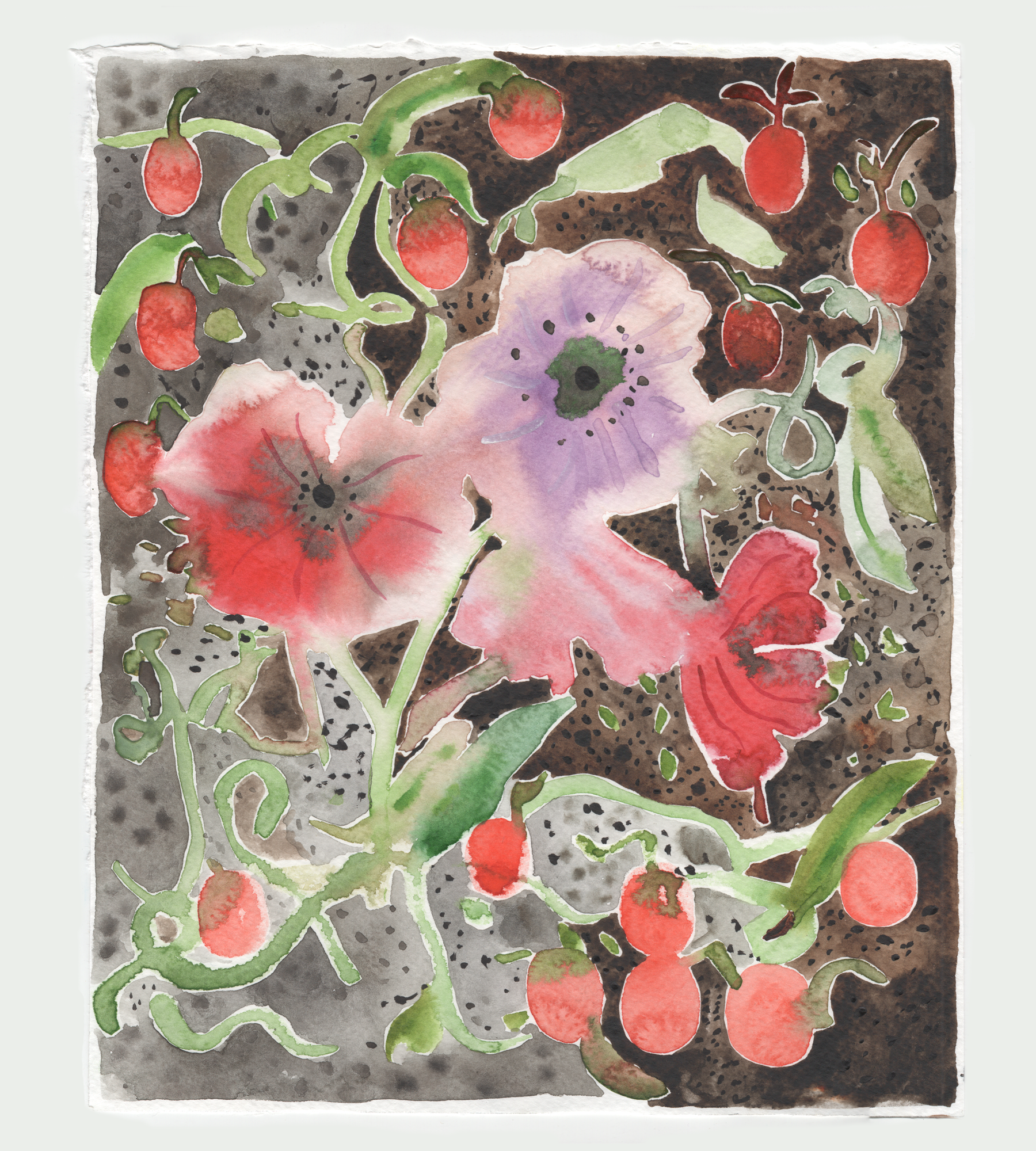 summer poppies 13.png