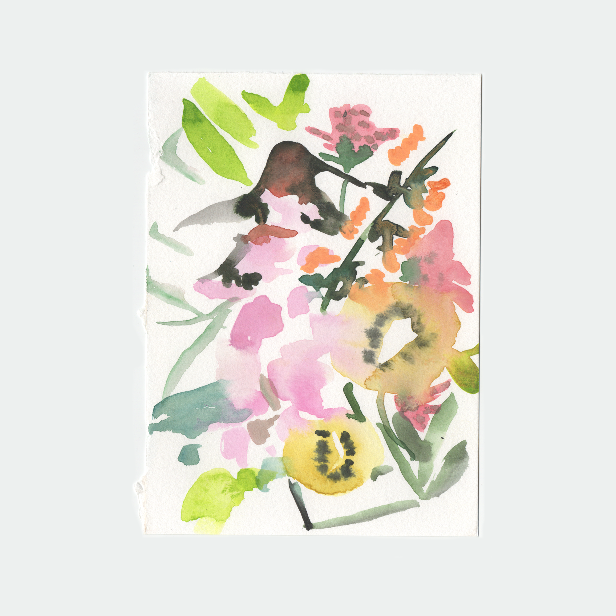 hummingbird 1.png