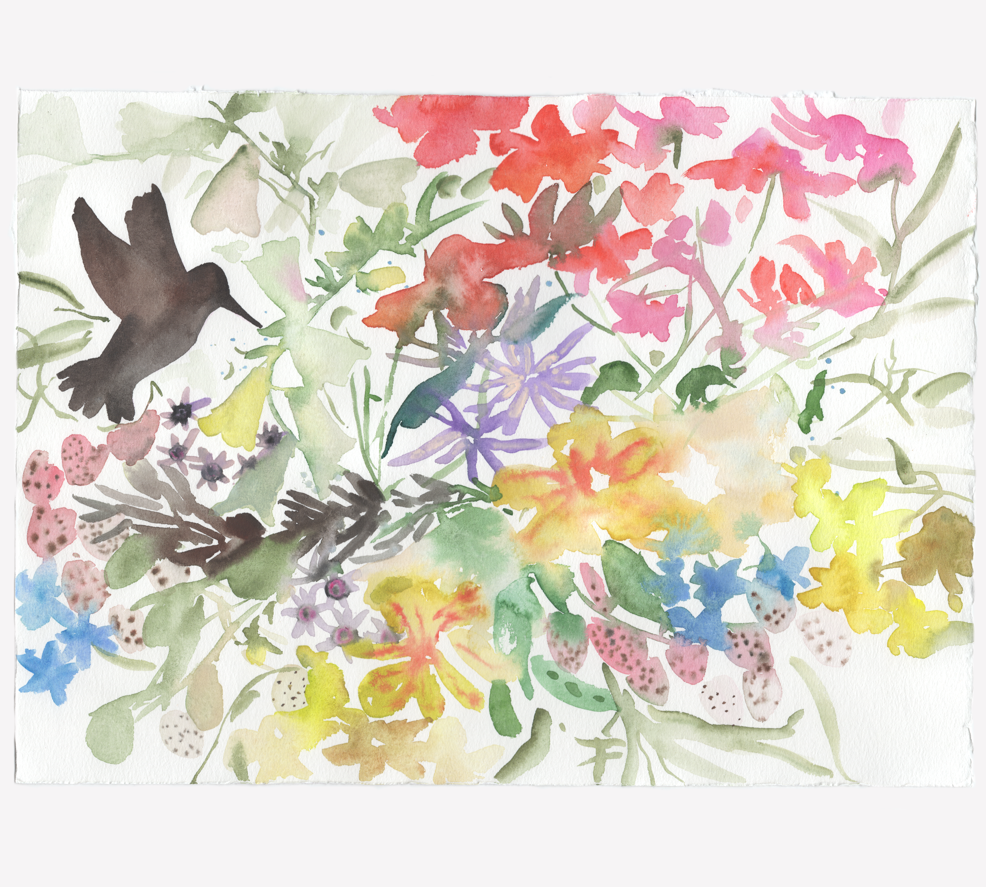 hummingbird 02-WEB.png