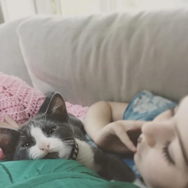 Saturday bliss. &mdash;
#kitten 
#catsofinstagram
#instaartist