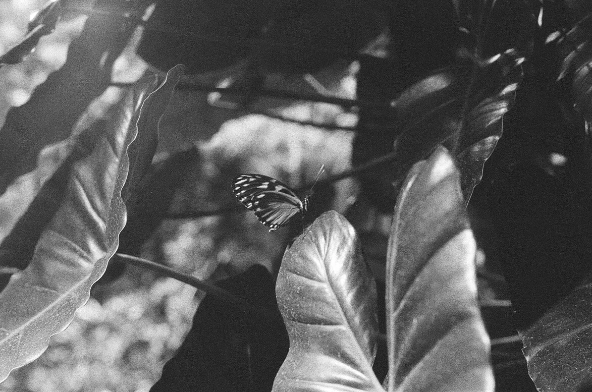 Day 2 - B_W4.JPG