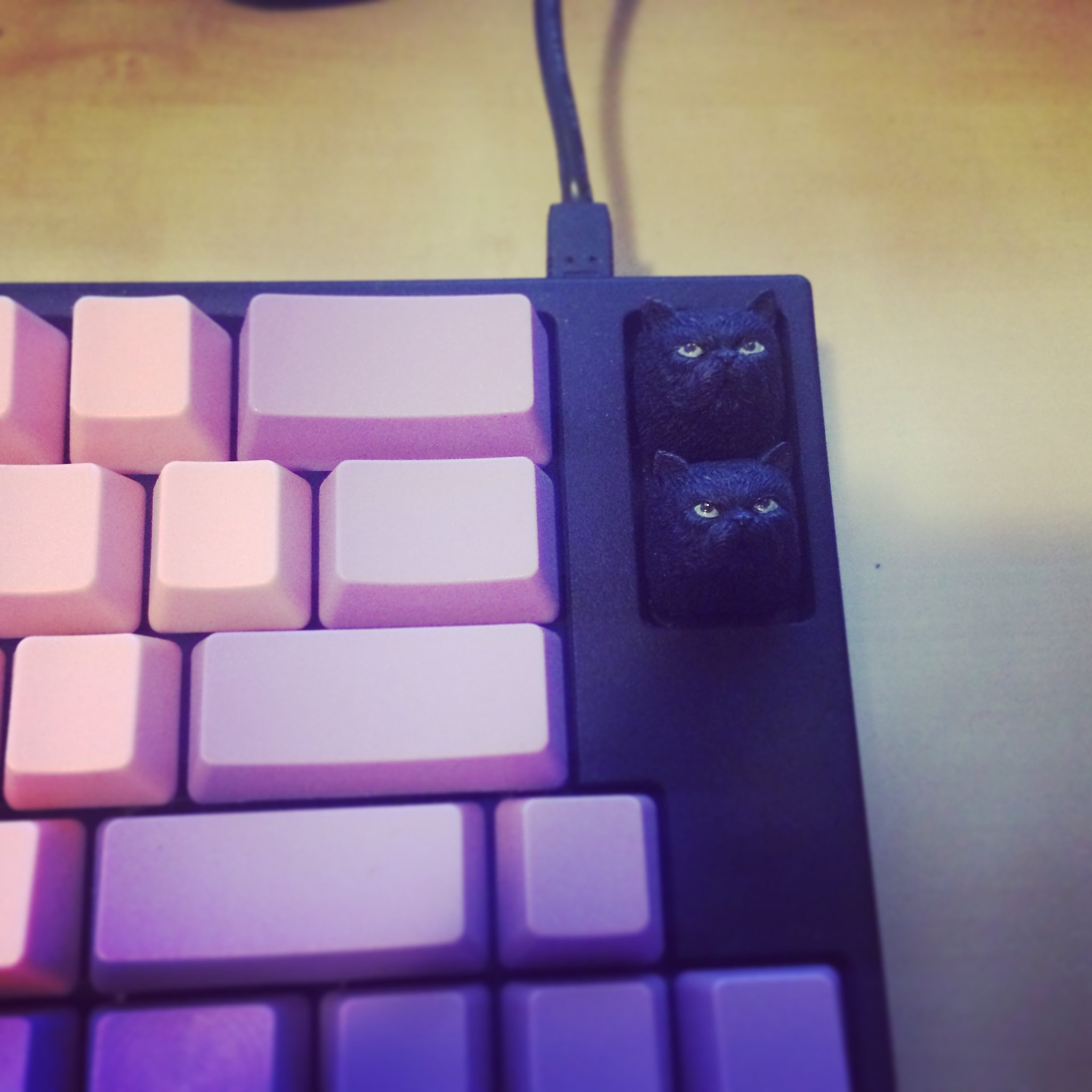 Kitty Keycaps & Pink/Purple Keyboard https://twitter.com/noopkat/status/913937568739229696