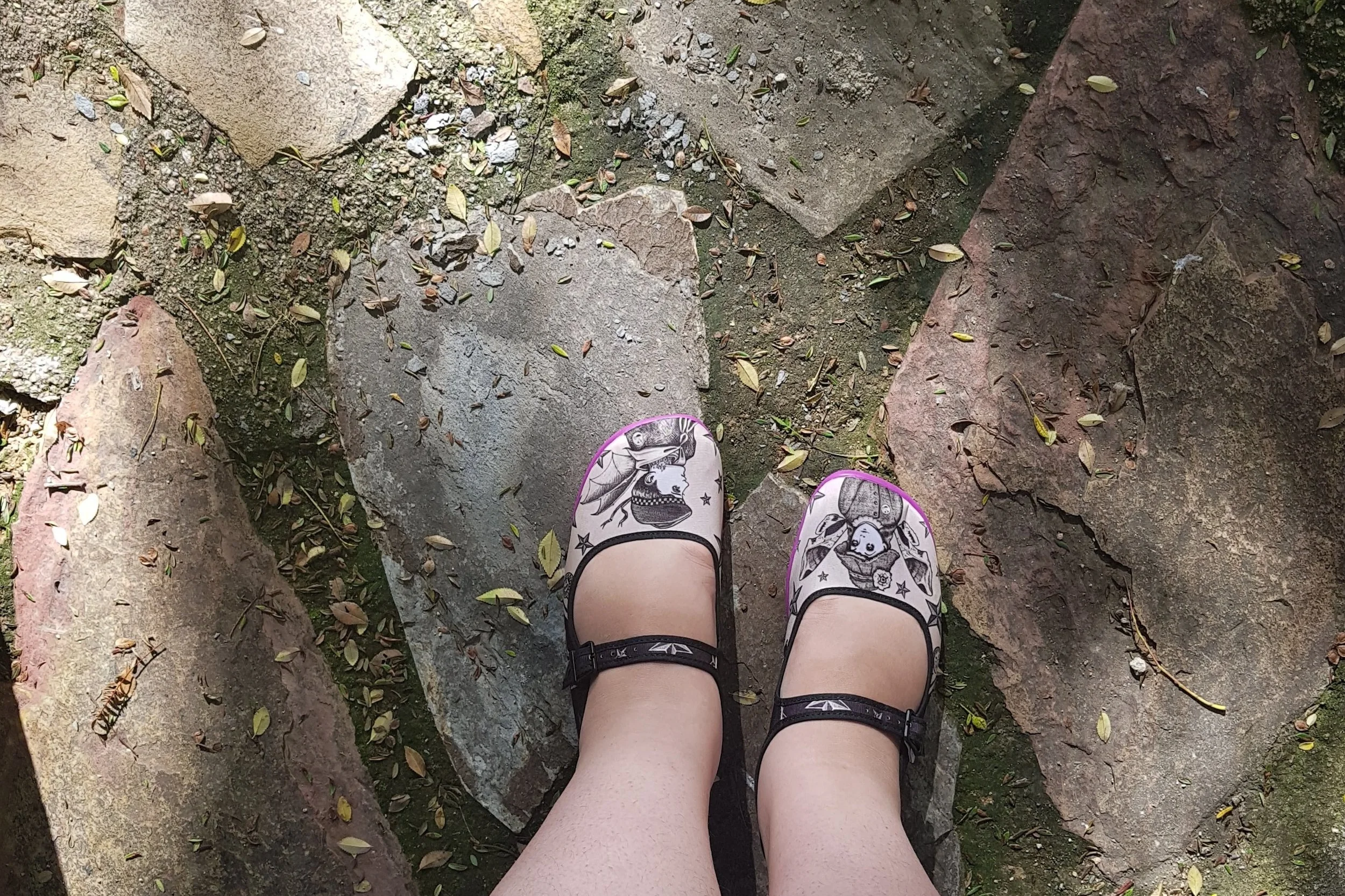 20180419_085109.jpg