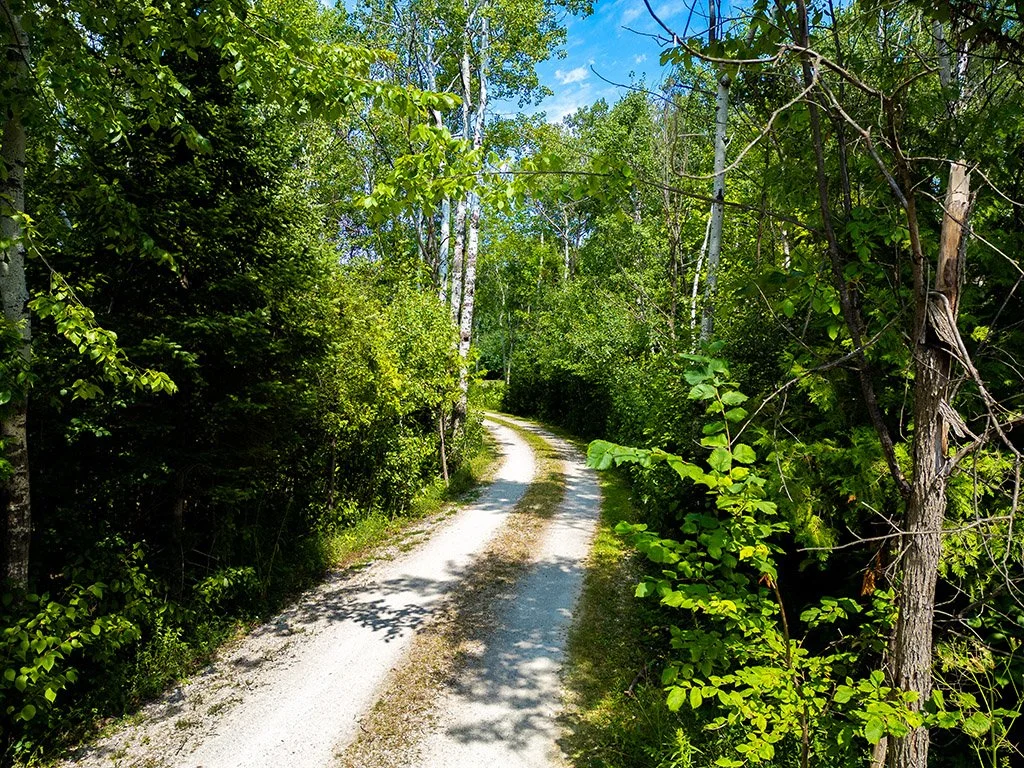 6 Forest Path MLS and Web 05.jpg