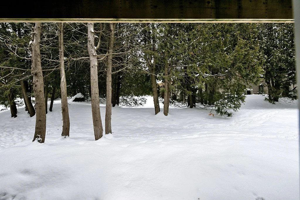 479 Oxbow Cr MLS and Web 029.jpg