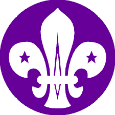 19th Wimbledon Scout Group Carol Service