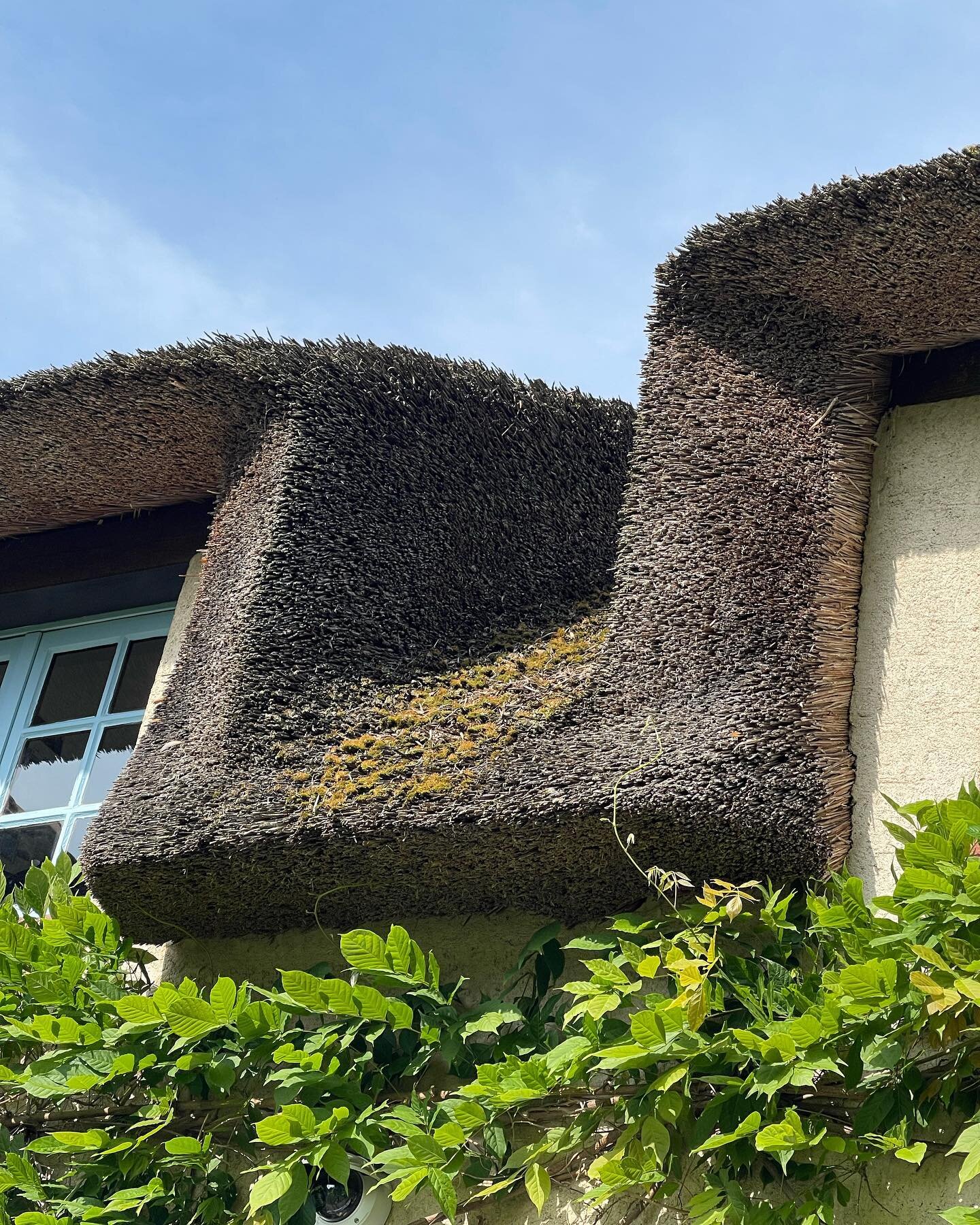 Across the street from the @maisonlouiscarre is the @maisonjeanmonnet &hellip; the two couldnt be more different architecturally though there IS something that feels modern, almost brutalist, in those thick thatched roofs&hellip;. 

Jean Monnet was o