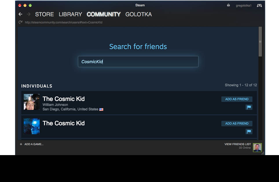 Steam Friends