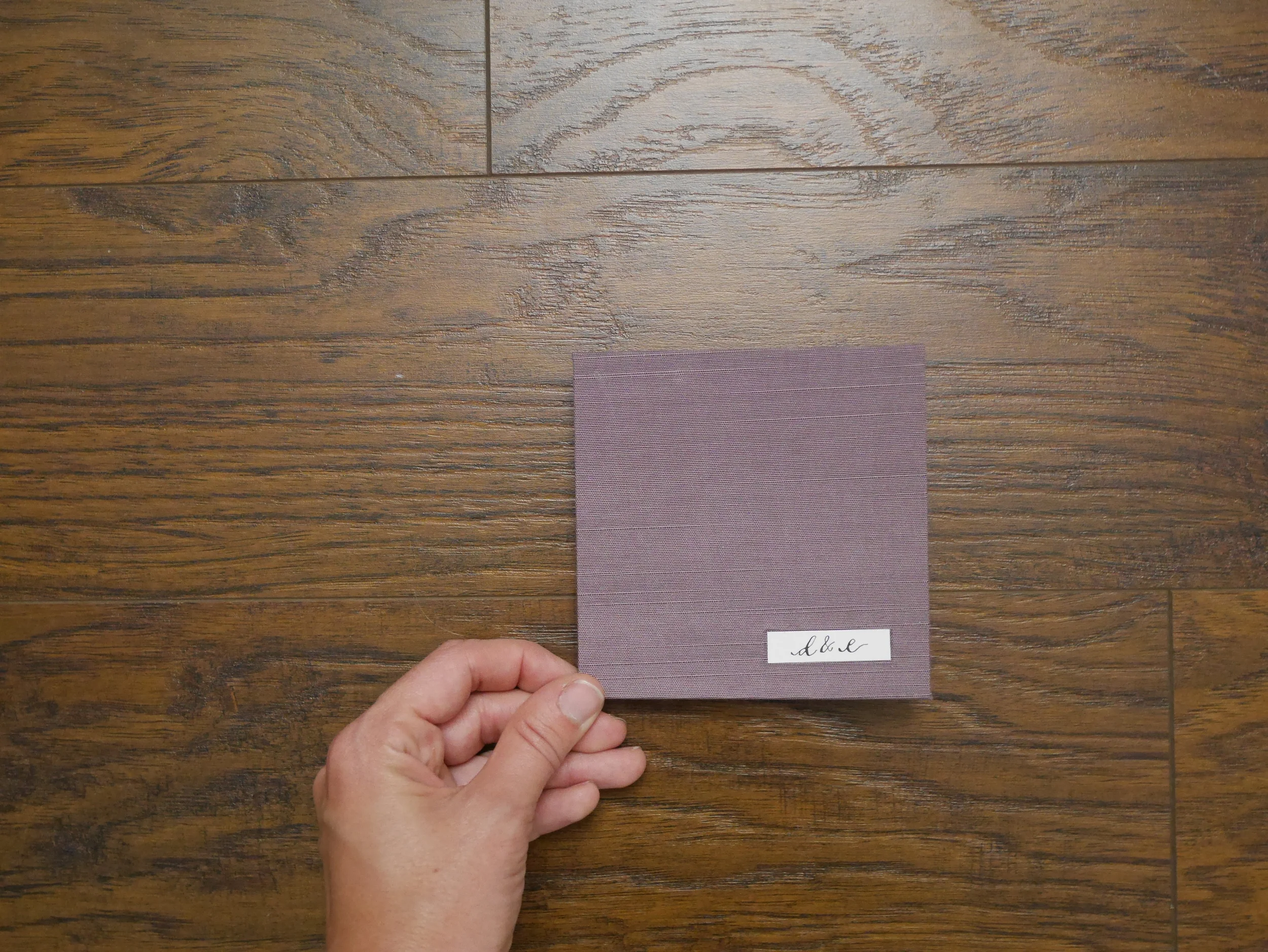 Danica & Eddye's Accordion Book