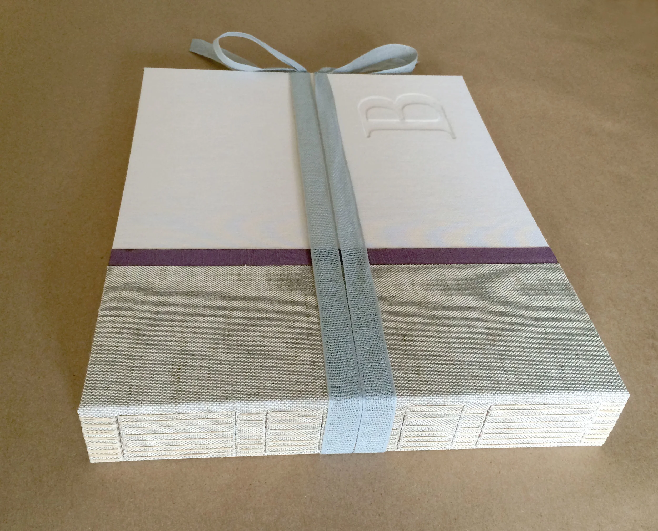 Danica and Eddye's Book_spine.jpg
