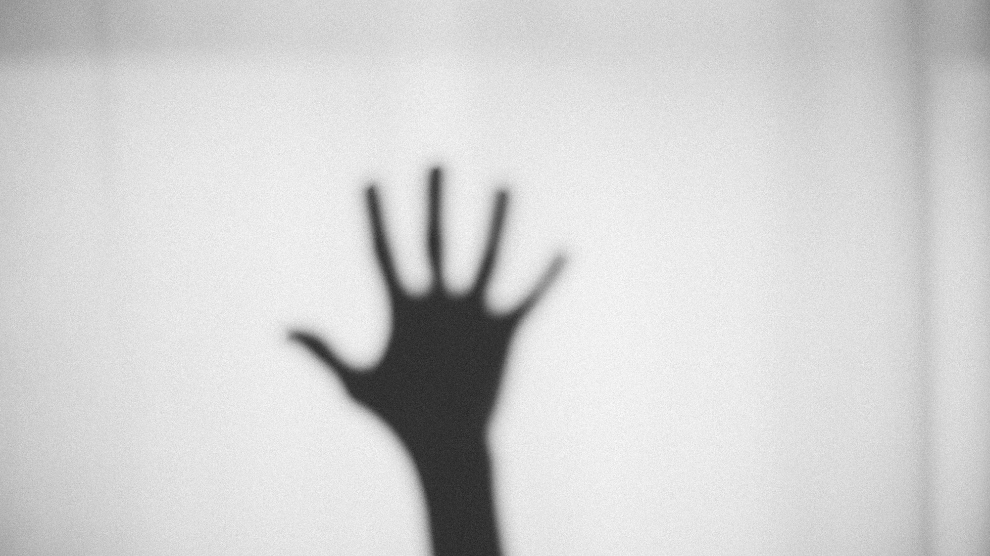 Be a shark in the shadows.