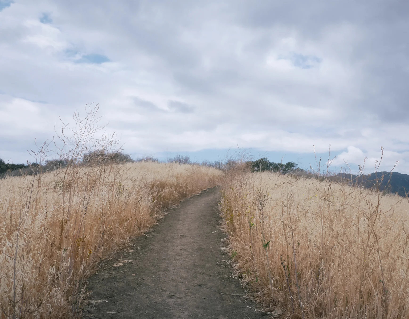 Musch Trail