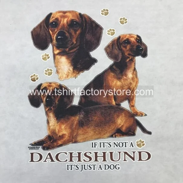 If It's Not A Dachshund It's Just A Dog T-Shirt Design