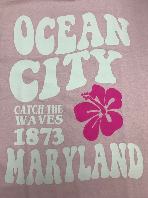 Orioles Ocean City Md Birdland Surf Co 2023 T-Shirt Sweatshirt Classic -  TeebyHumans