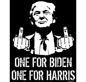one-for-biden-one-for-harris-t-shirt-1.gif