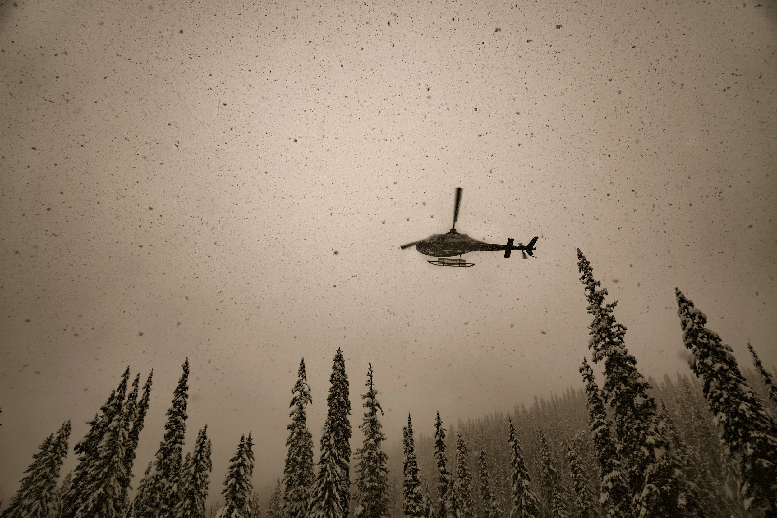 14 Monashee Sunshine Work .jpg