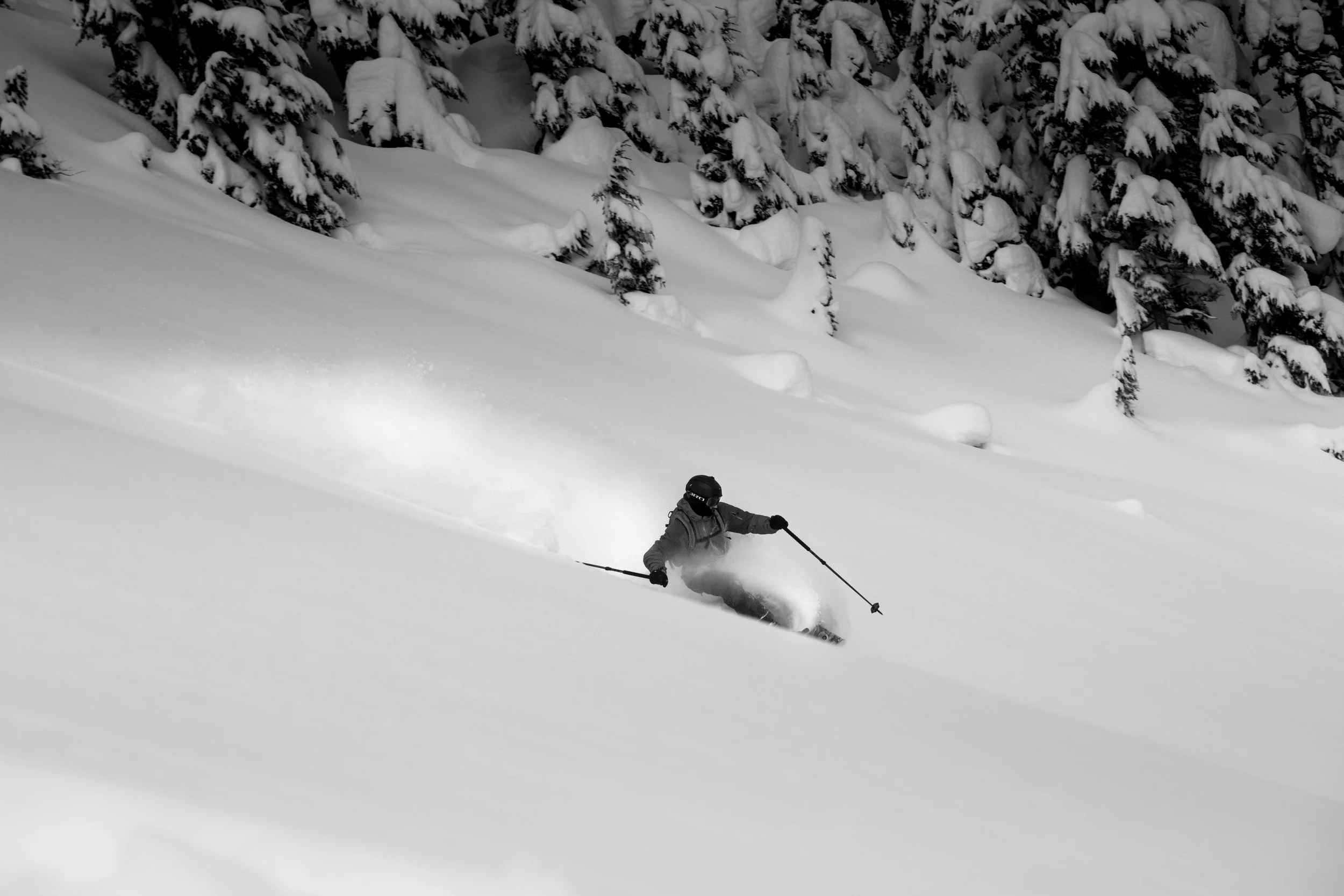 #13 Lone Skier