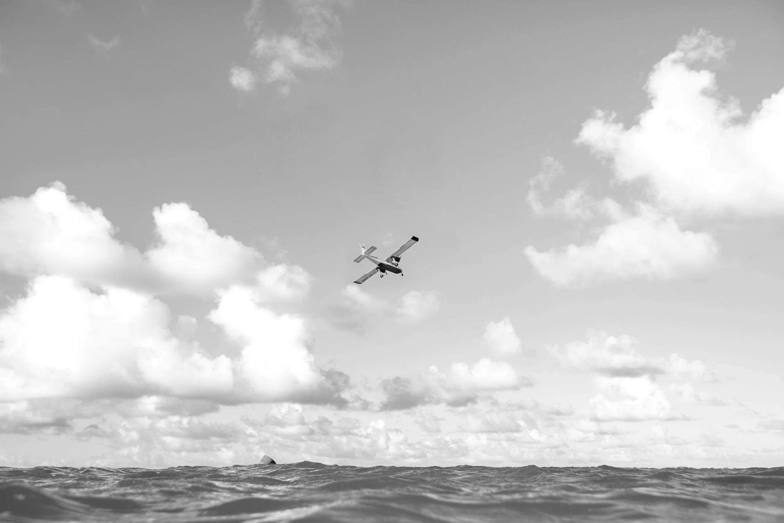 Flyby B/W