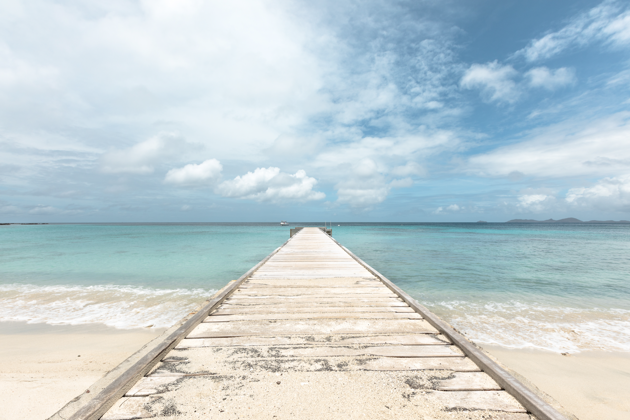 Screen Shot 2019-02-11 at 12.56.40 PM.png