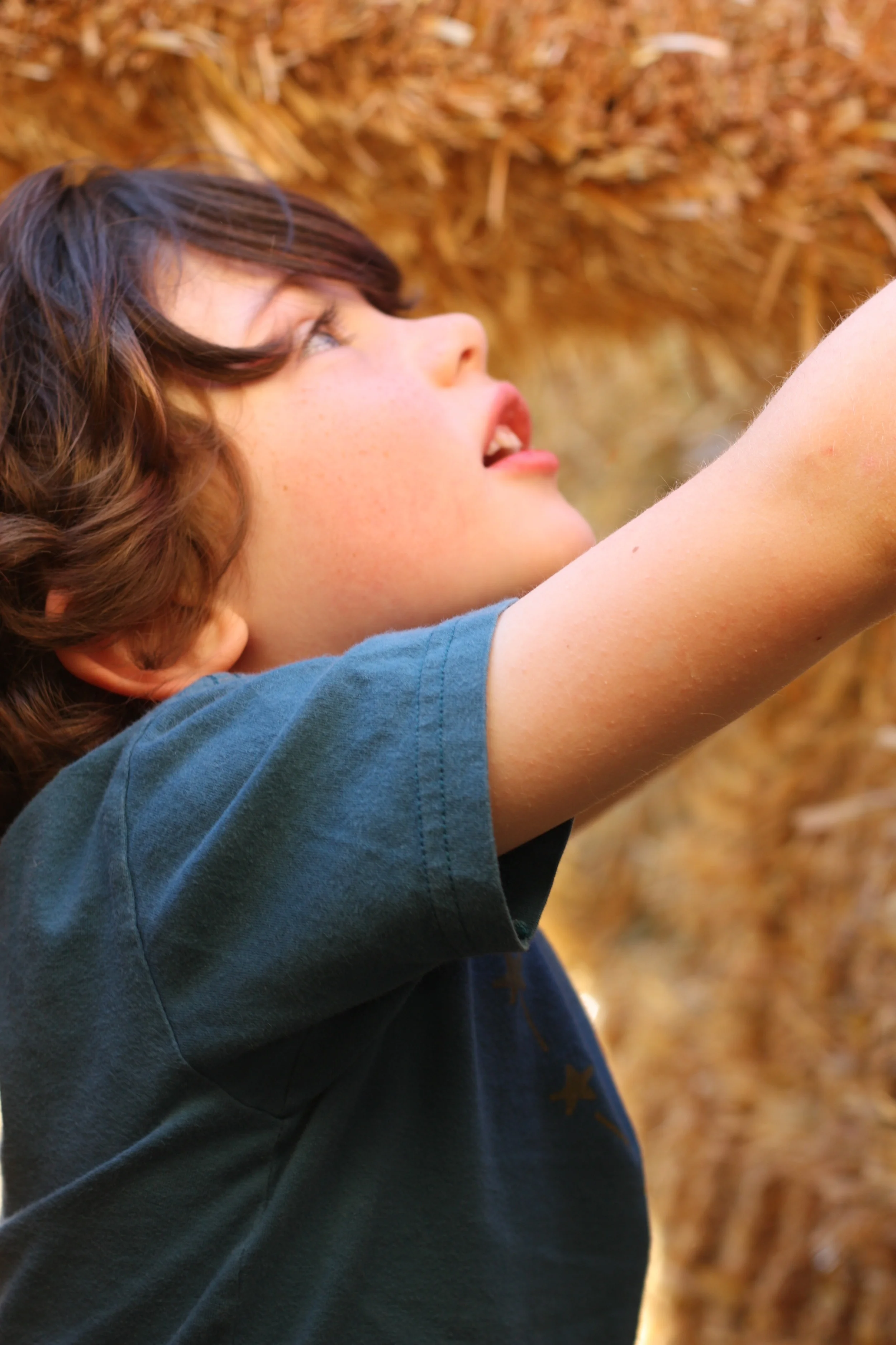 Day Trip: Suncadia Resort, Cle Elum, WA