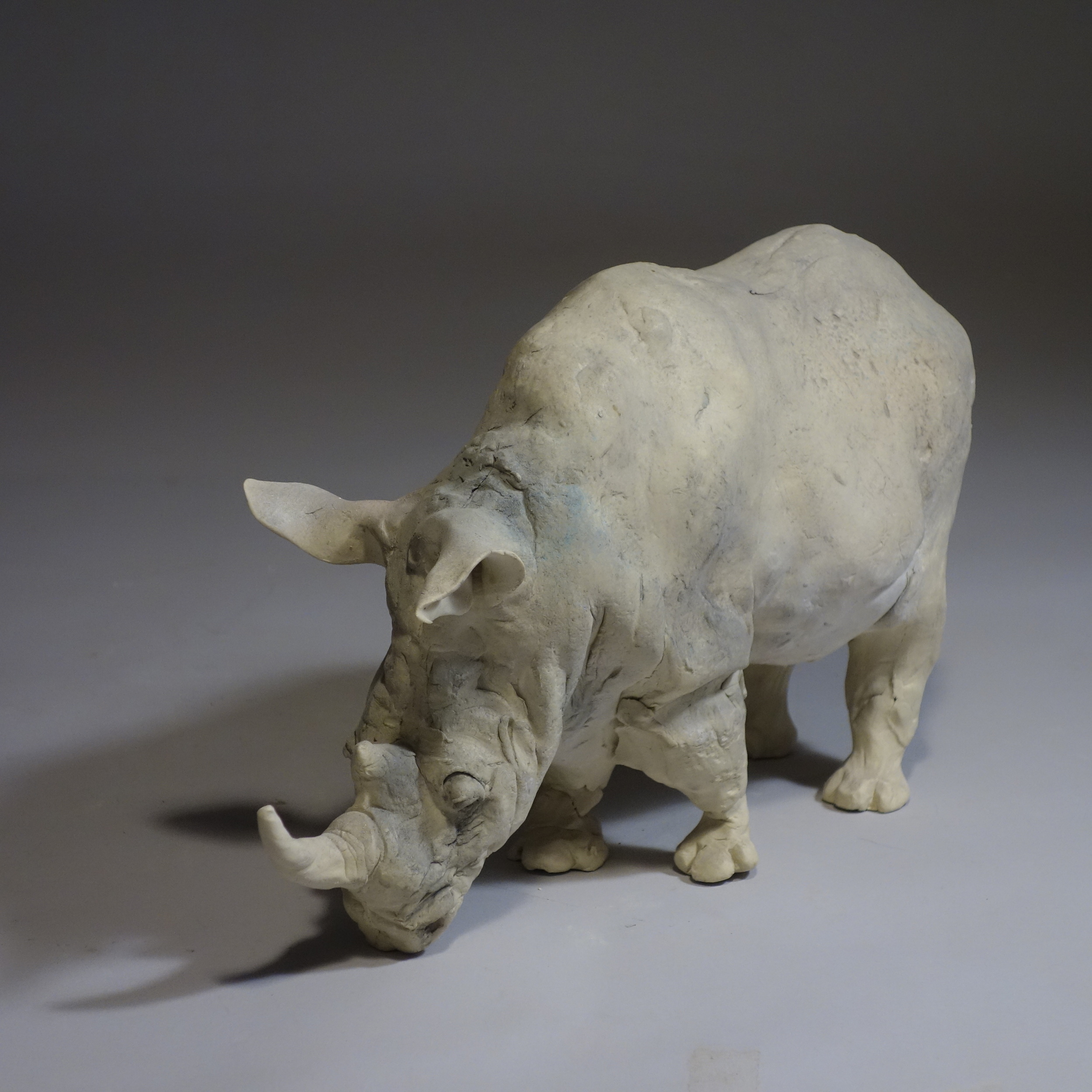  rhino 3 