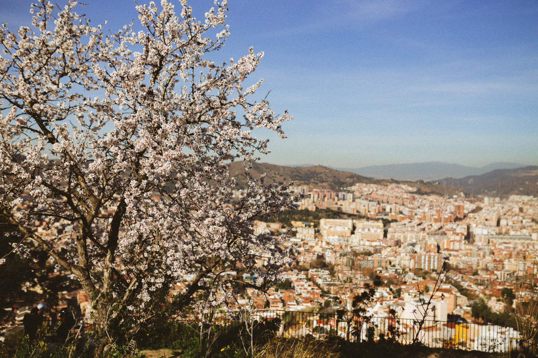 BARCELONA-071.jpg