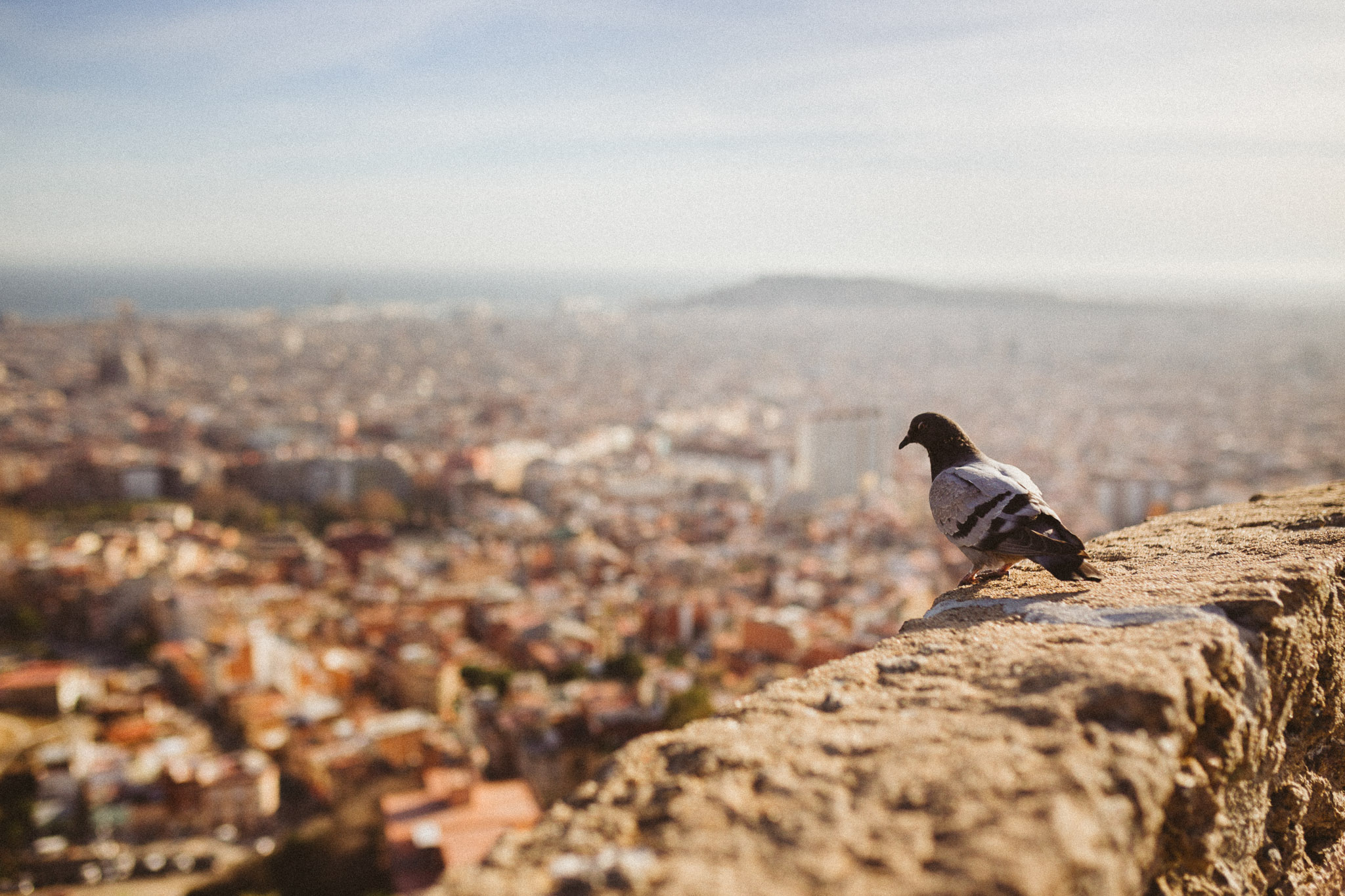 BARCELONA-075.jpg