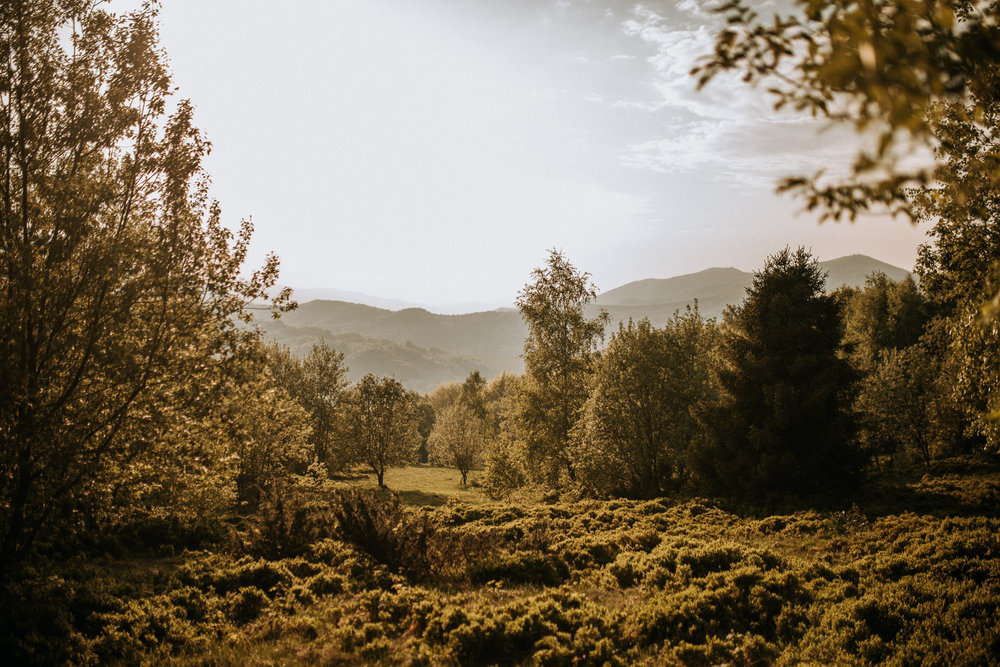 001-sesja Bieszczady.jpg