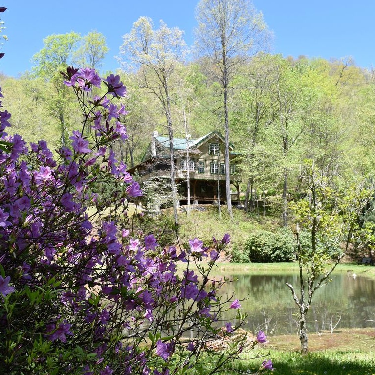 Lodge through the Trees