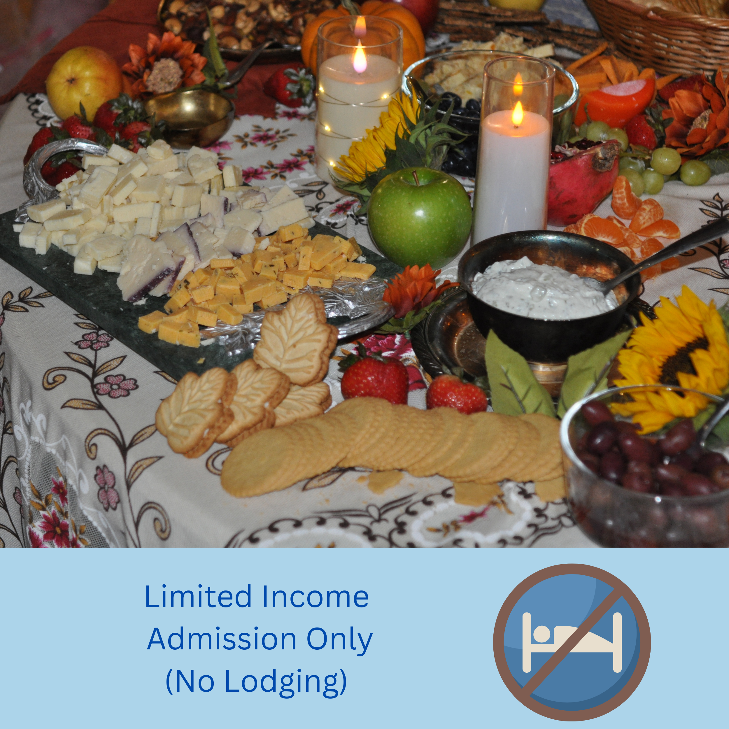 LimitedIncome (1).png