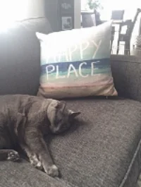 In Loving Memory of Sasha