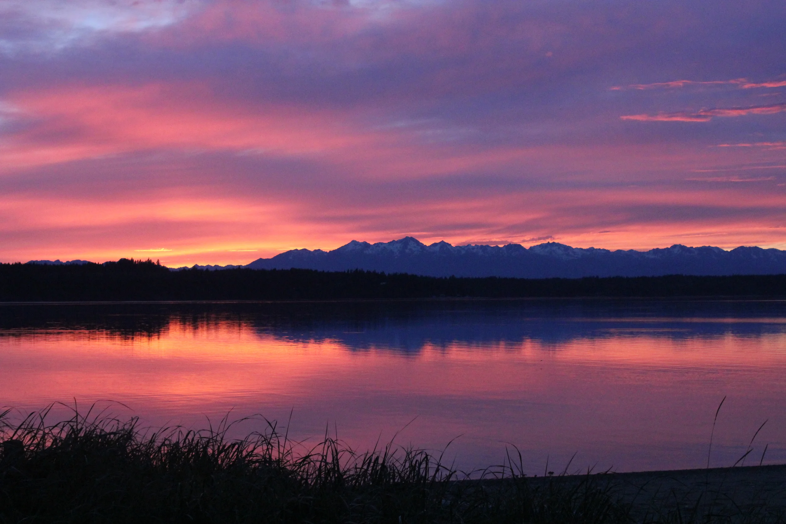 Mark Your Calendars - WE DID IT! Event, Jan 30