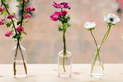 What To Do if You Have No Reps