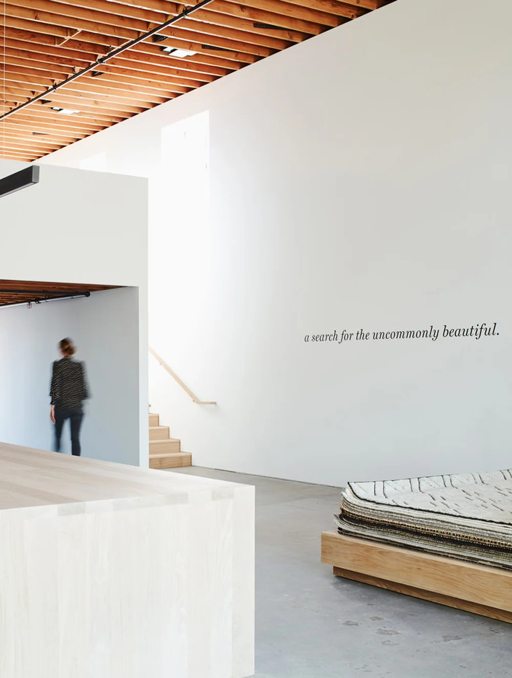 Armadillo&Co_LA_Showroom_Wall_Crop.jpg