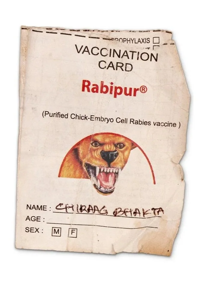 (2015) Vaccination card for my rabies shot after getting bit by a street dog in India 