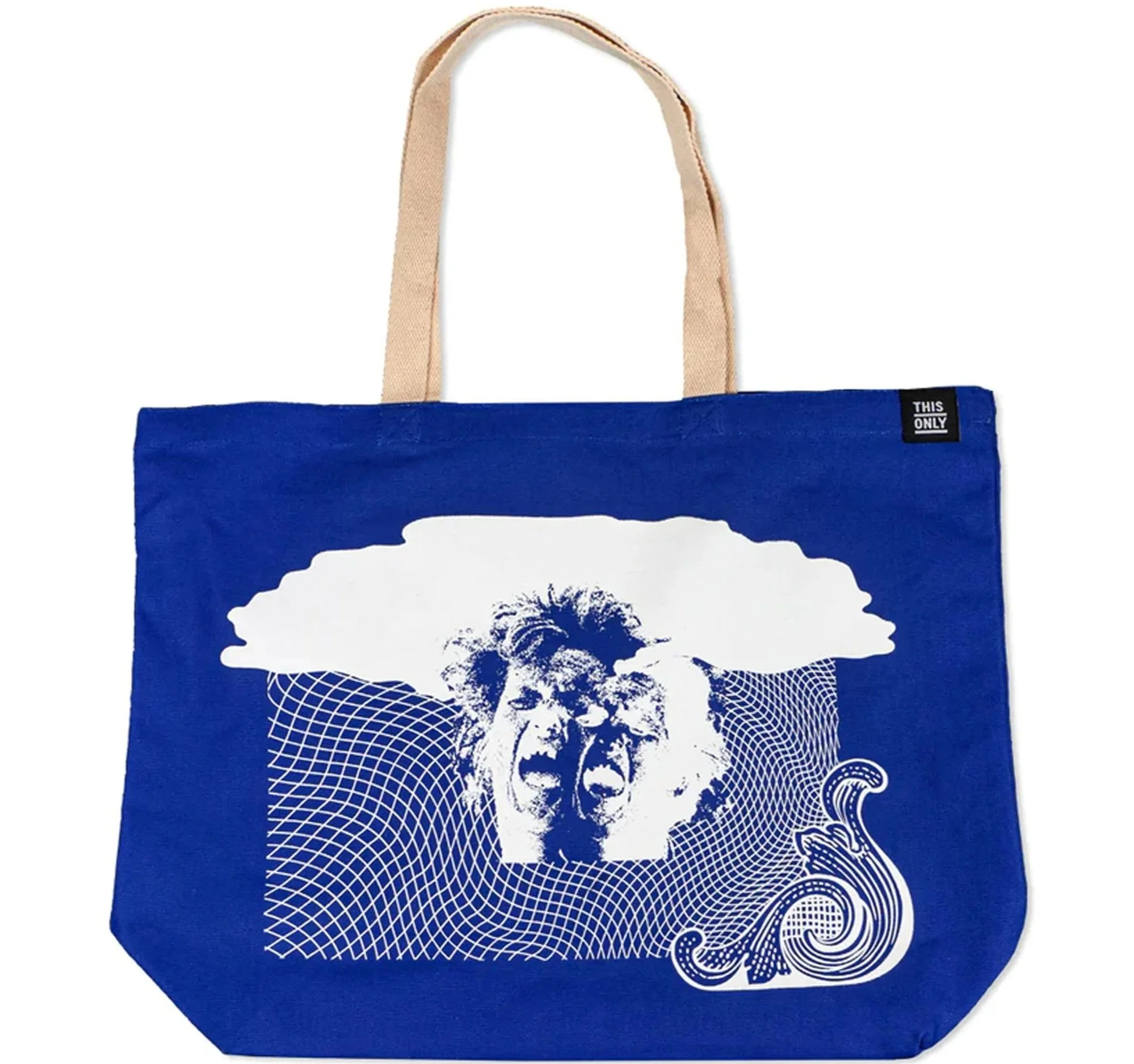 (2021) Magic Dollar Bag (ThisOnly) ---  Swipe right for more images