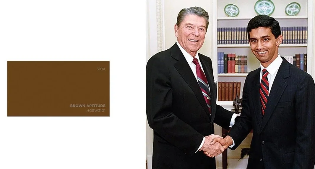 Paint swatch from a hardware store named " Brown Aptitude " juxtaposed with an image of President Reagan and Dinesh D’Souza, a policy adviser in his administration (1988). He continues to be a  white supremacist.
 —
 An excerpt from  I Don't See Colo