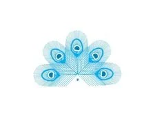 Peacock-—50q.jpg