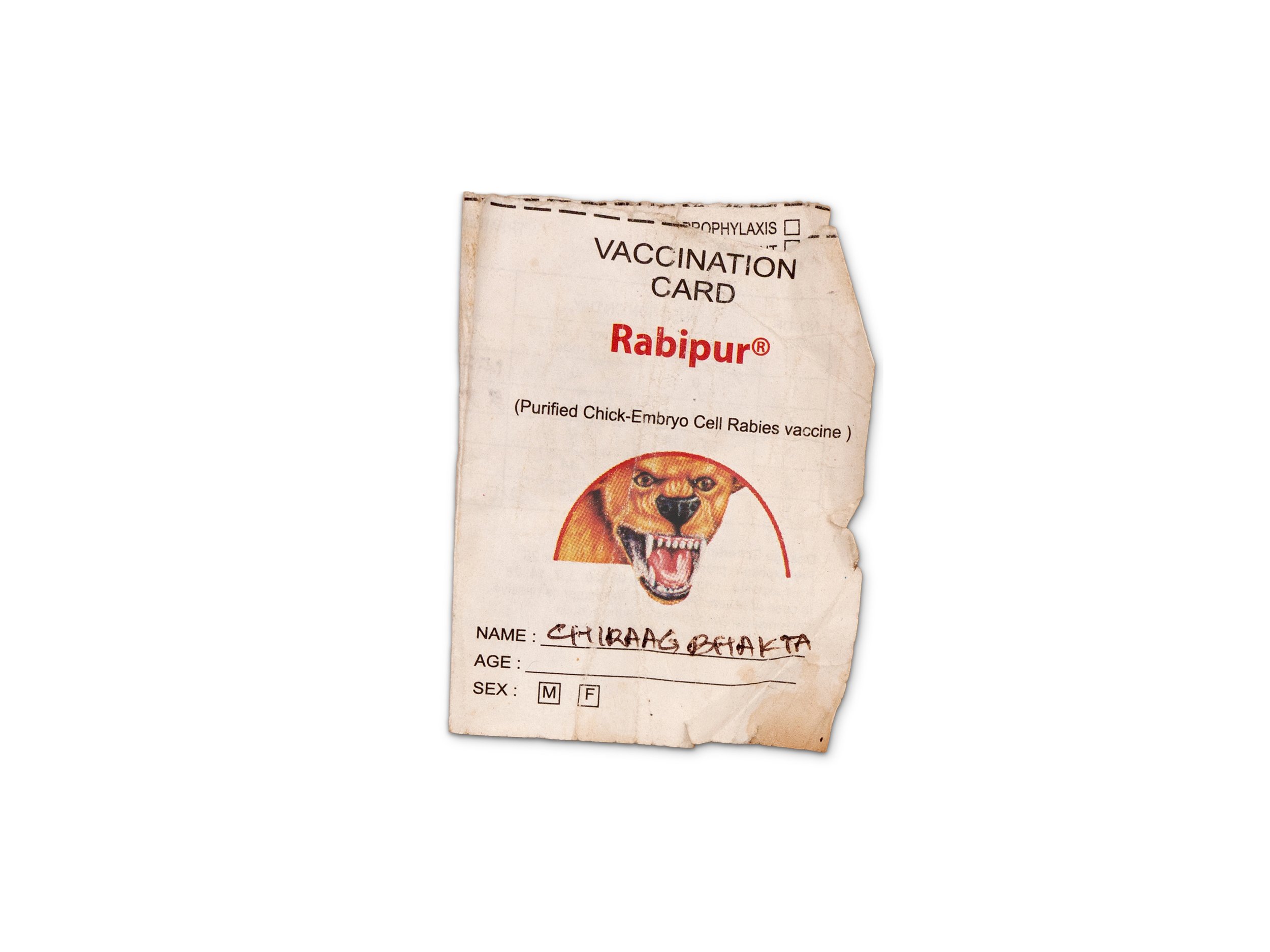 Vaccine card for the rabies shots I had to receive after getting bit by a dog on a trip to India. 