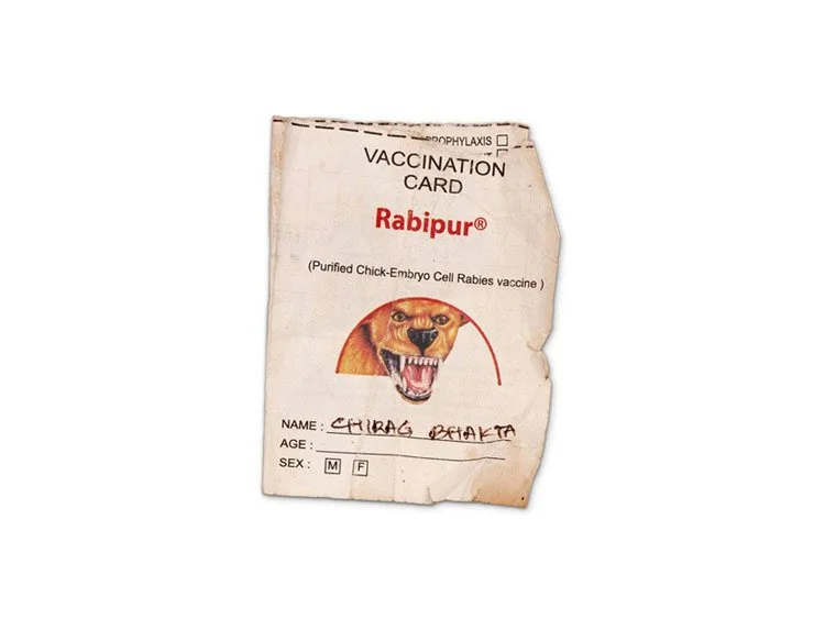 DogVaccine—50q.jpg