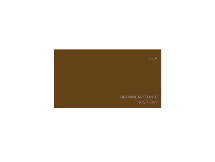 BrownSwatch—50q.jpg