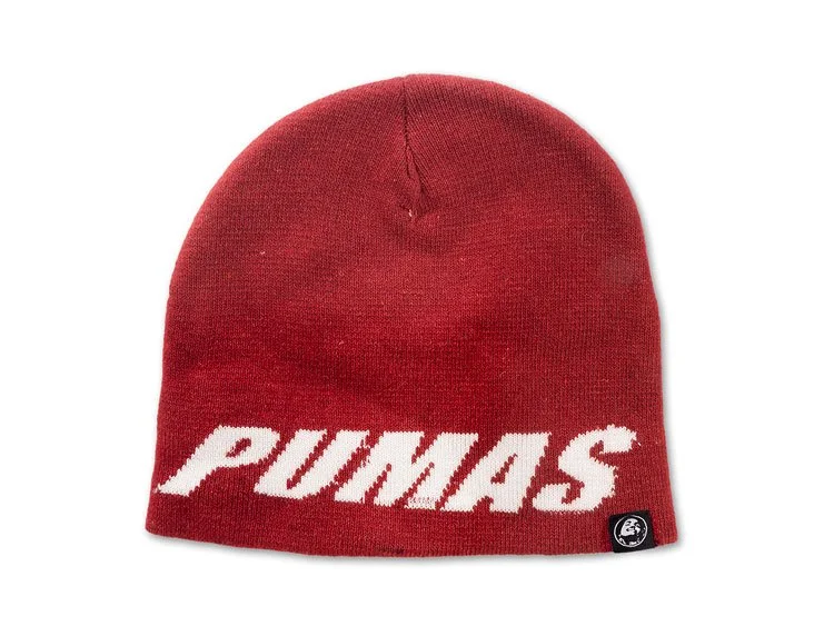 ) Pumas,  2015,  Found Object, 7 x 11 inches. 1 of 100 objects that was part of Version One of "I Want This Only"