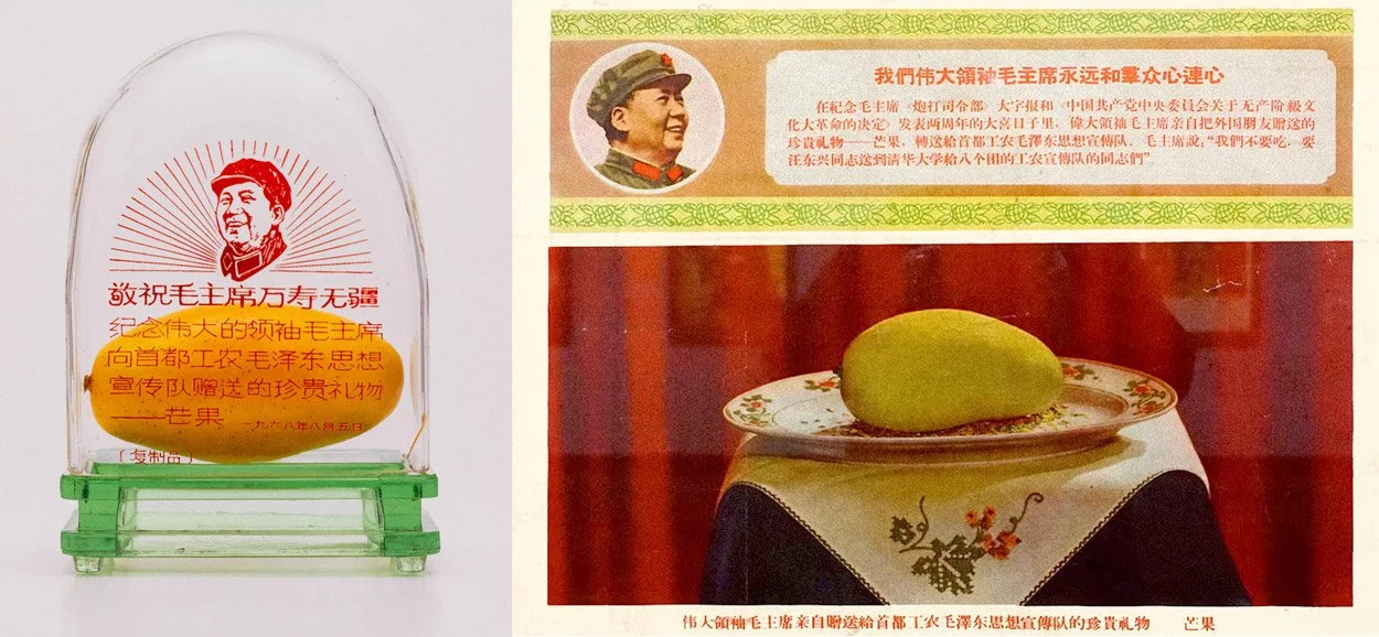  When Mao’s Mango Mania Took Over China  
  
Slide 
← 01 of 02 →