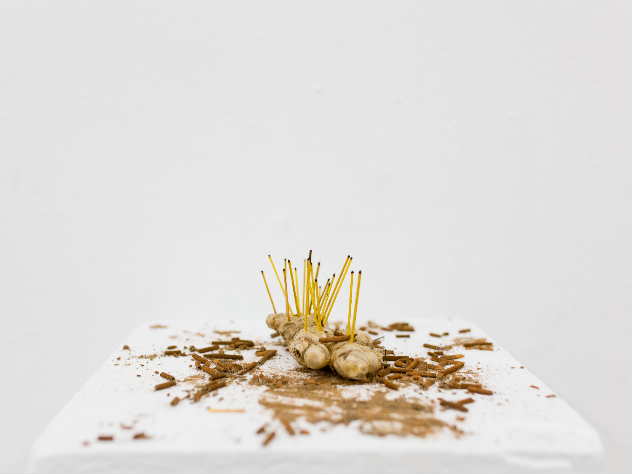  When We Opened Our Eyes,
They Had The Land and We Had The Bible,  2019, Collage (framed); Found Objects, Rudraksha Beads and Flowers, 54 x 42 x 4.5 inches